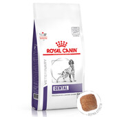 Лечебный сухой корм для собак Royal Canin Dental Medium & Large Dogs
